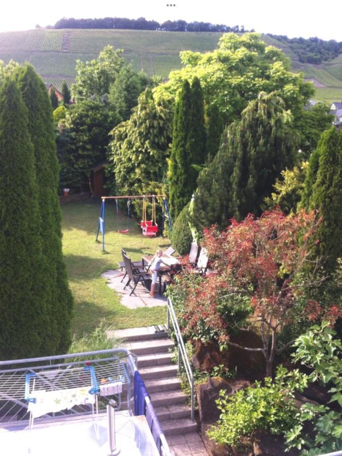 Doppelzimmer Mit Terrasse Zum Garten, Ruhig, Weinbergsblick, Zusaetzliches Kinderzimmer Anbei Moeglich Winningen Exterior foto